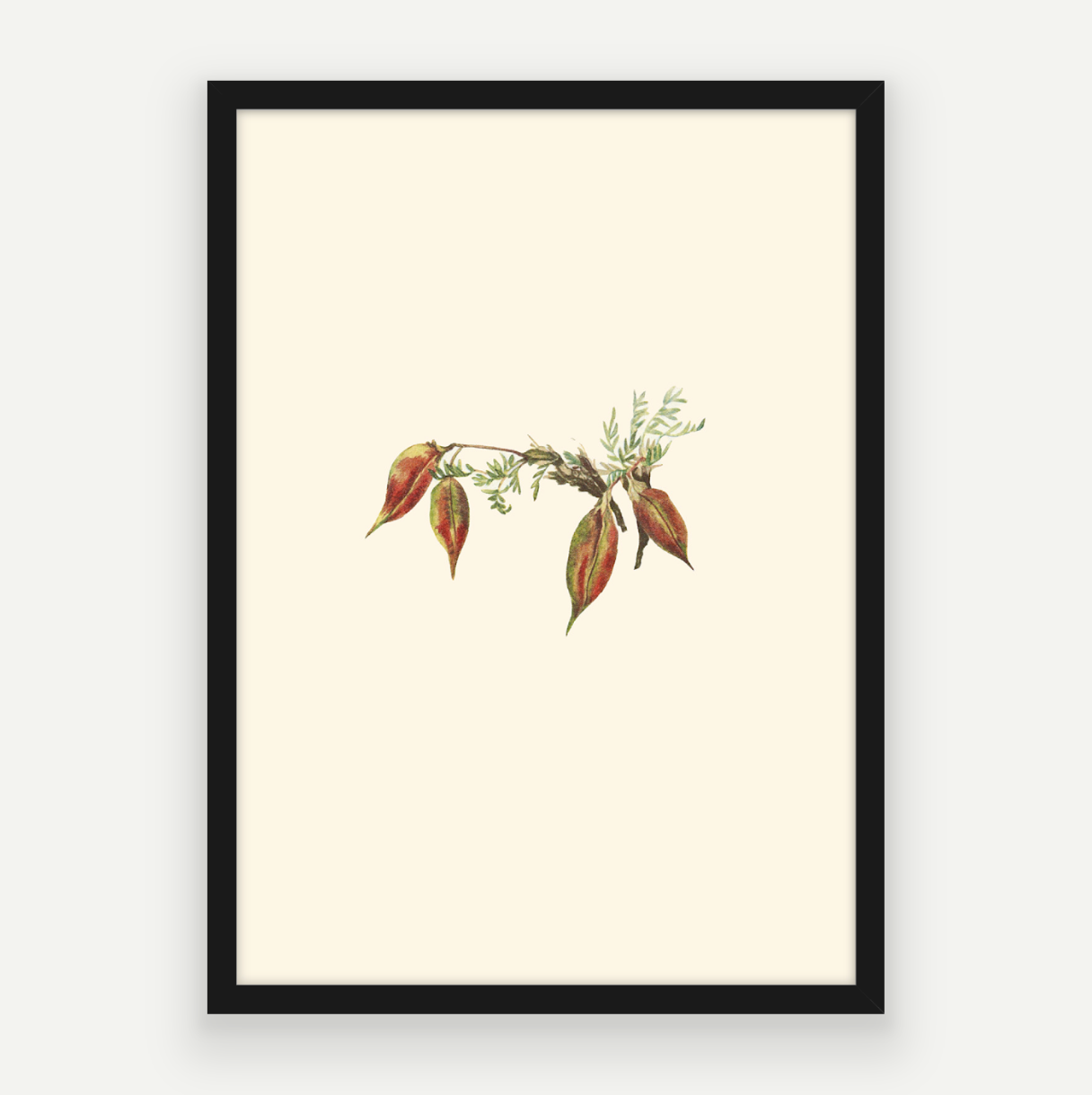 Autumn Buds