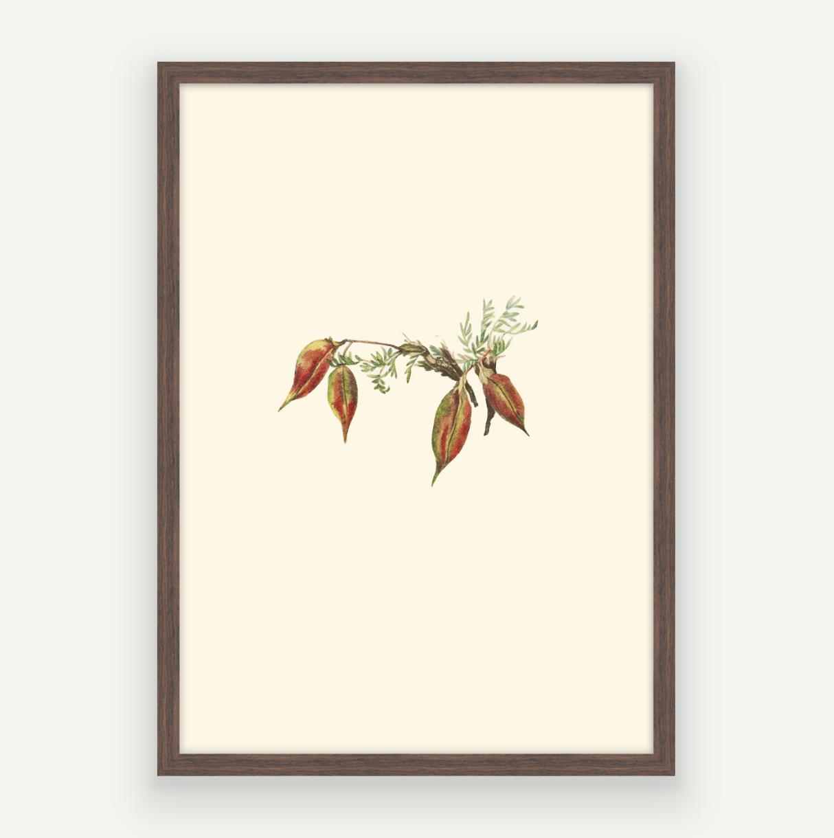 Autumn Buds
