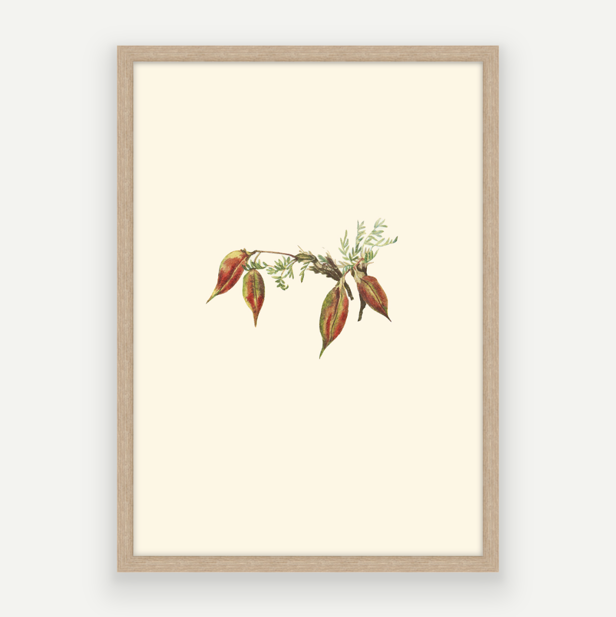Autumn Buds