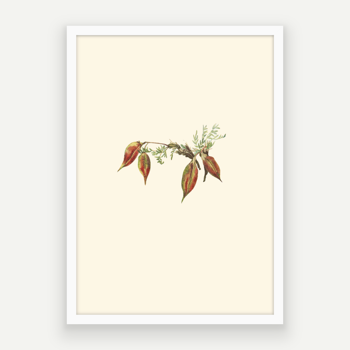 Autumn Buds
