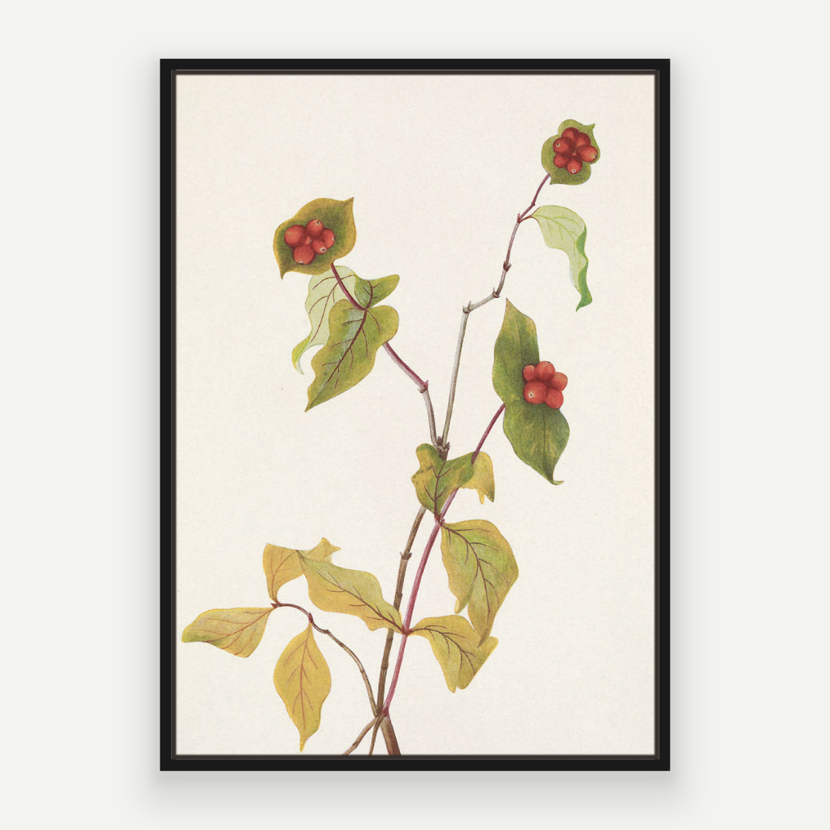 Autumn Stem