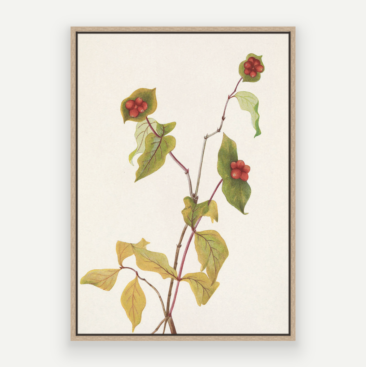 Autumn Stem
