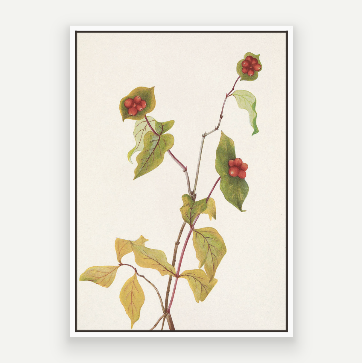 Autumn Stem
