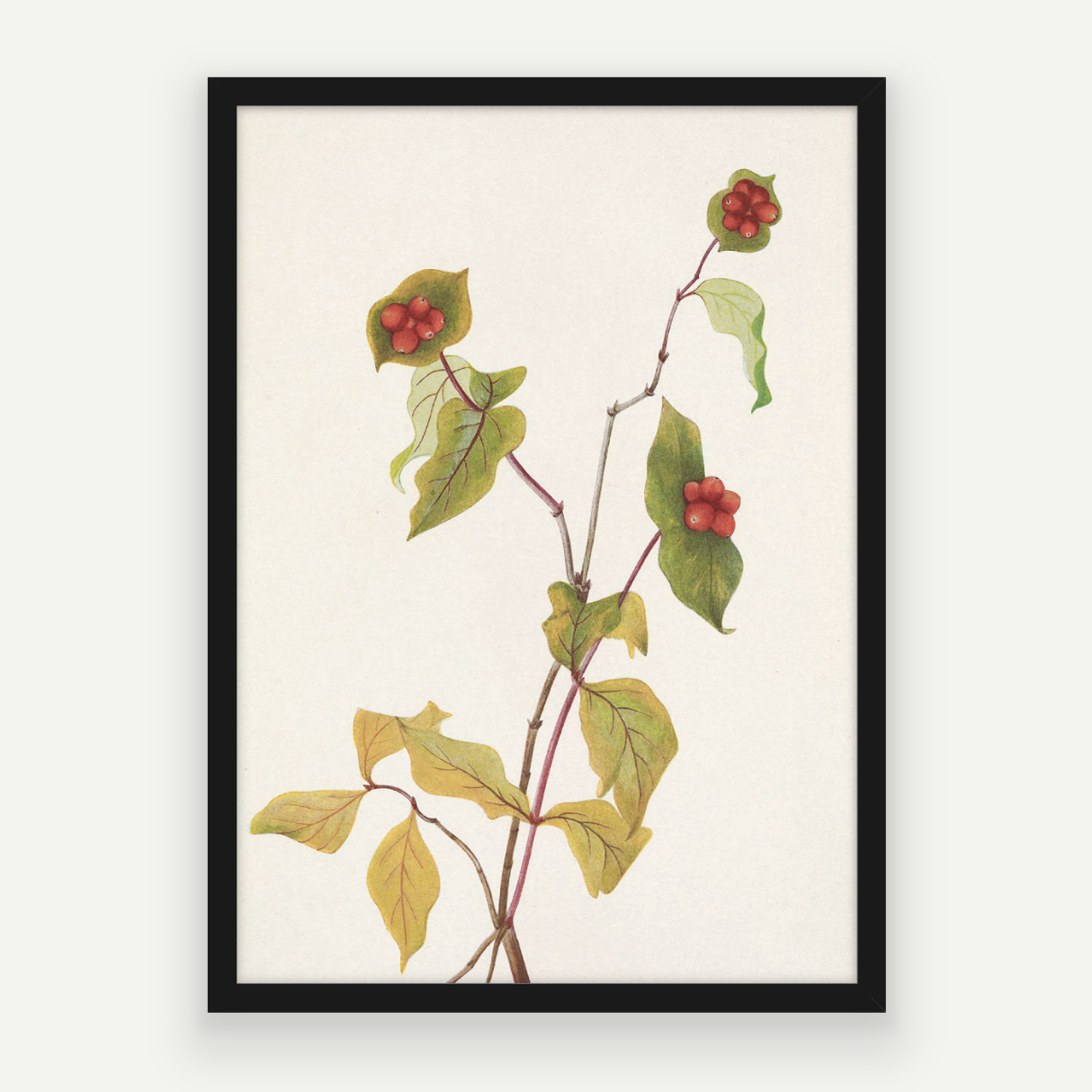 Autumn Stem