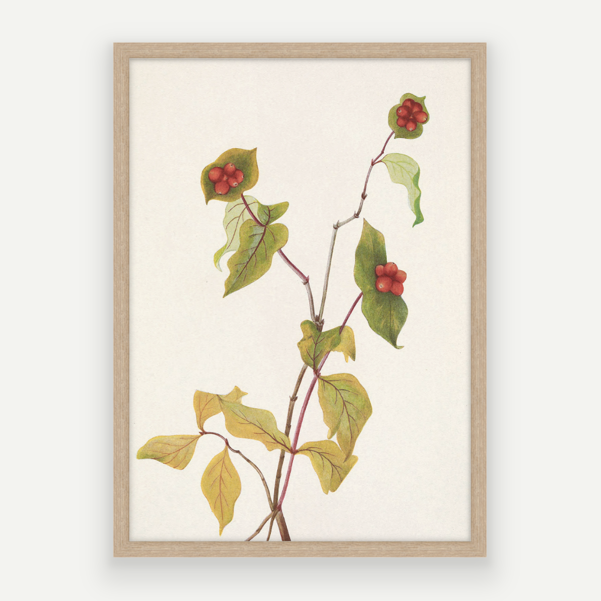 Autumn Stem