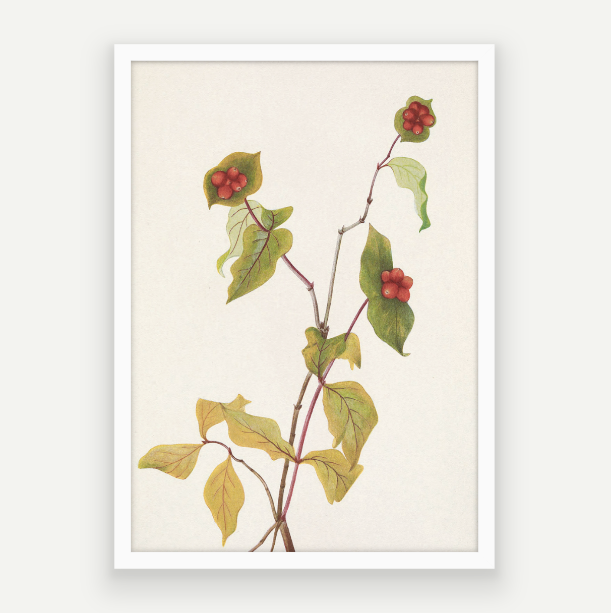 Autumn Stem