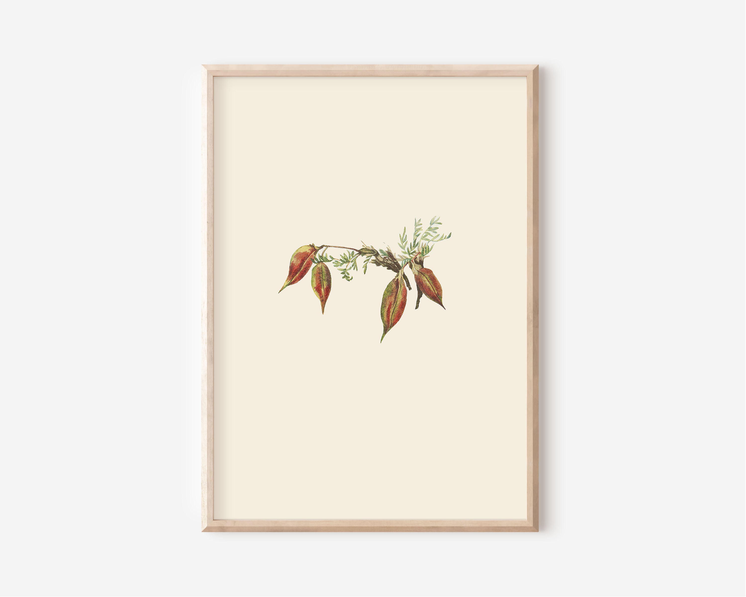 Autumn Buds
