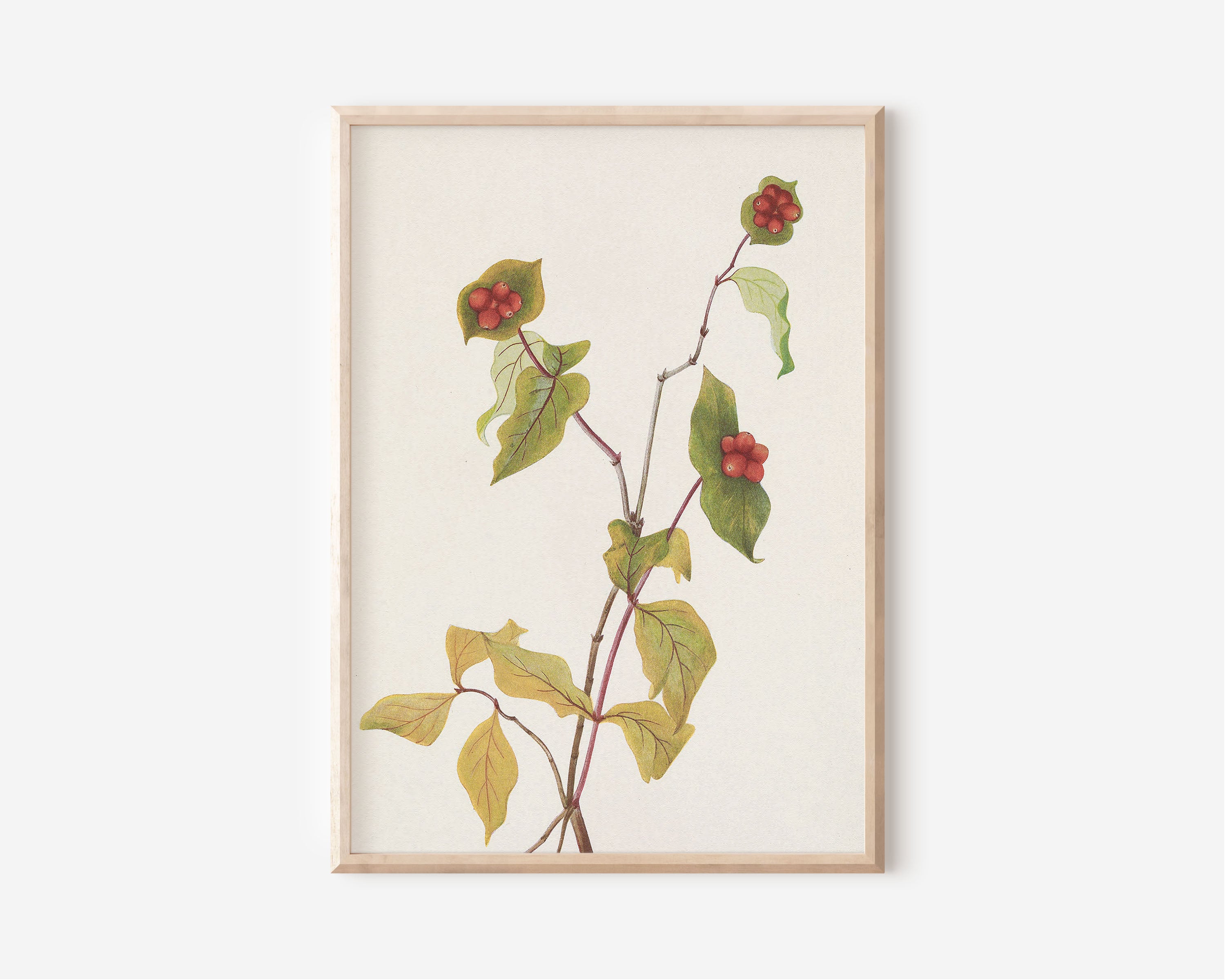 Autumn Stem