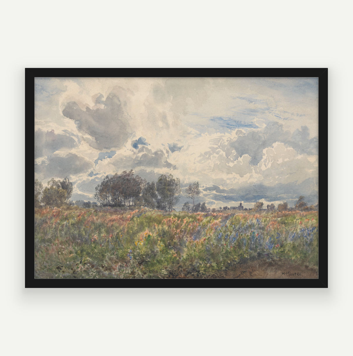 Blooming Fields