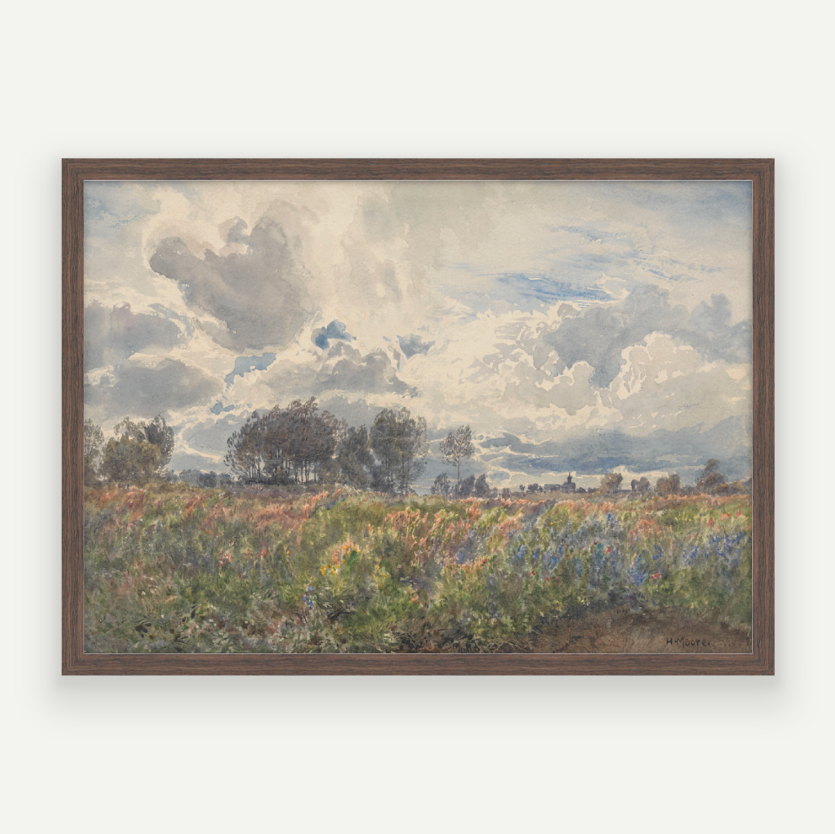 Blooming Fields