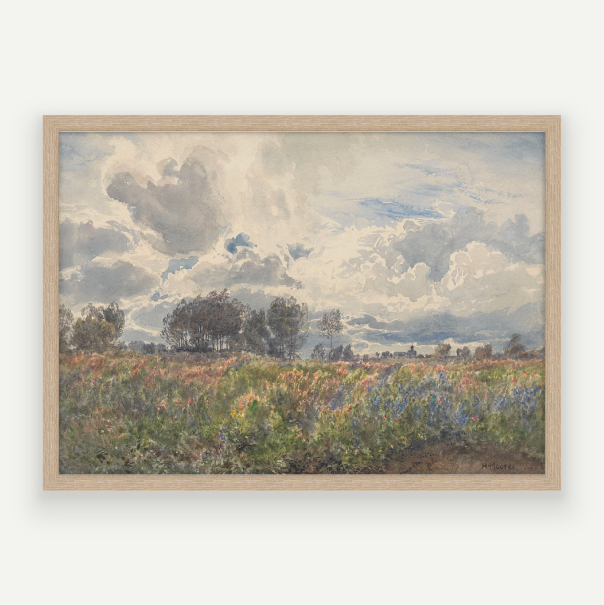 Blooming Fields