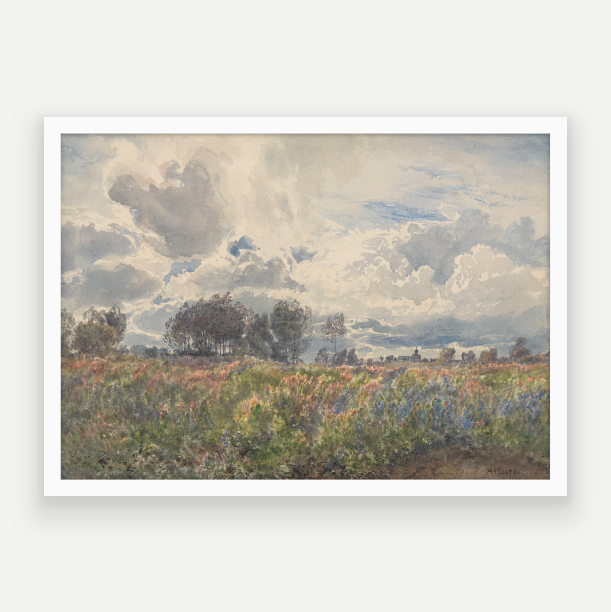 Blooming Fields