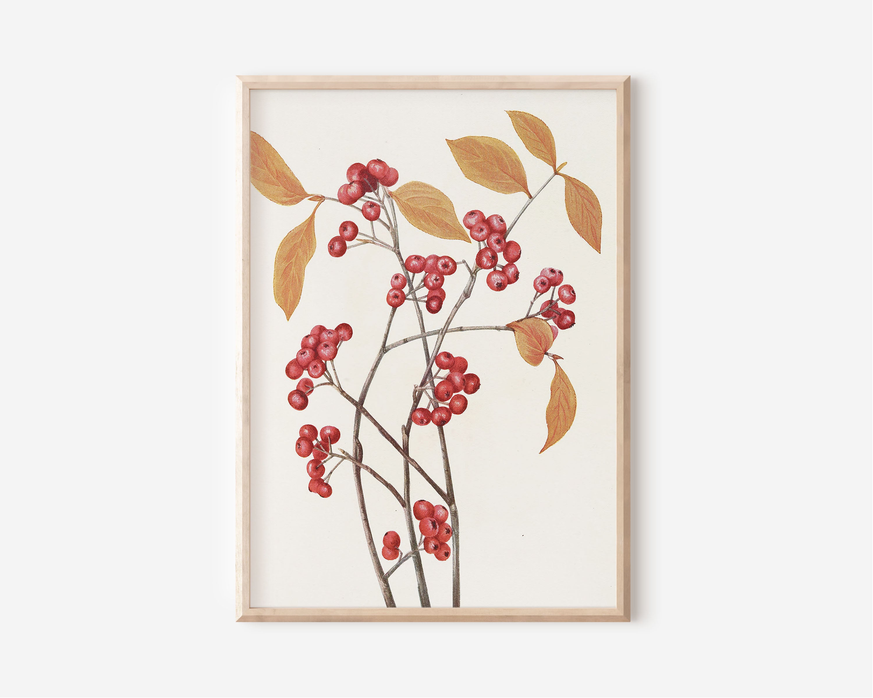 Berry Branch