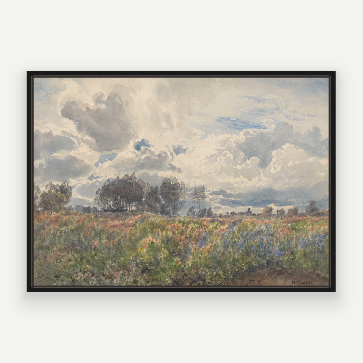 Blooming Fields