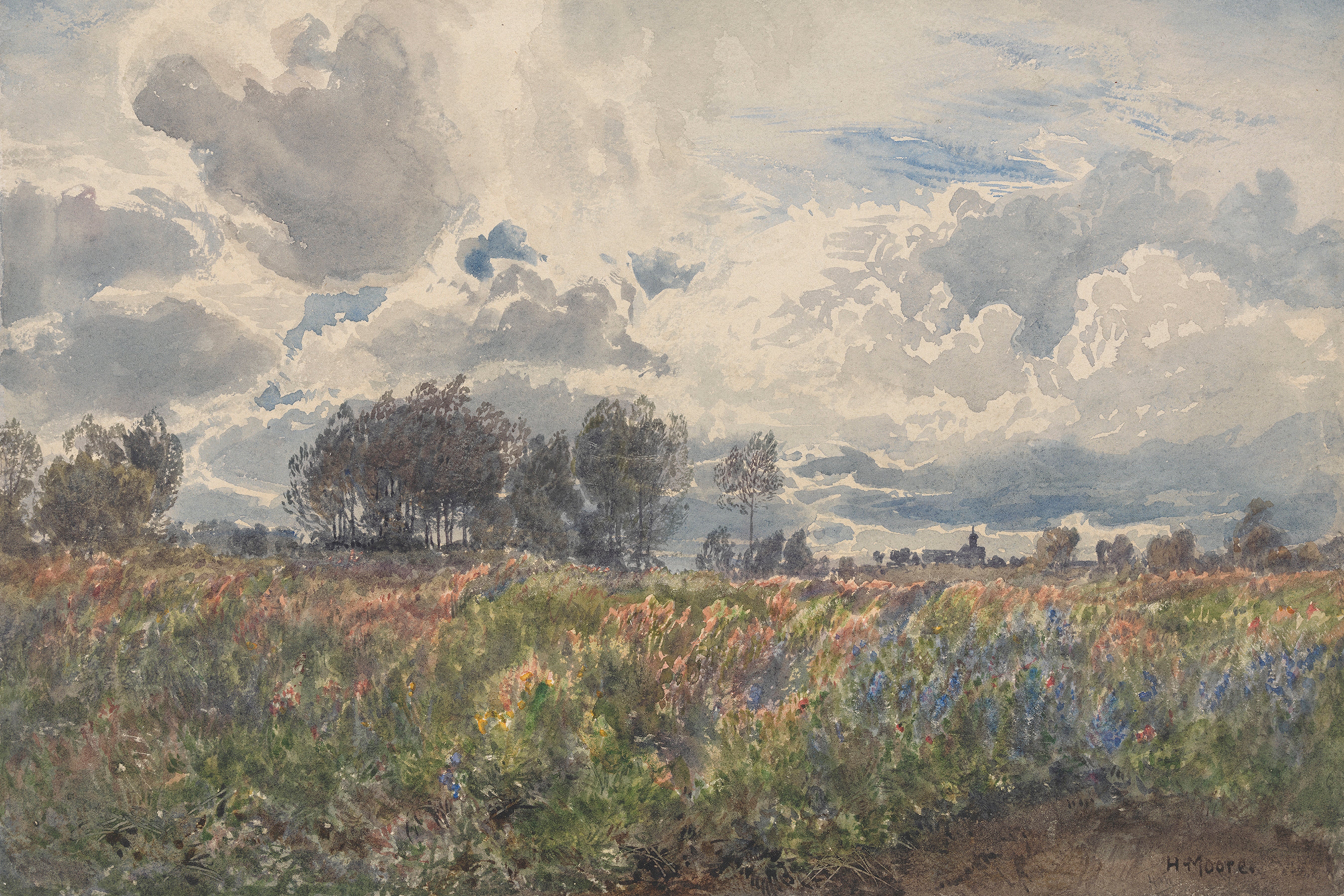 Blooming Fields