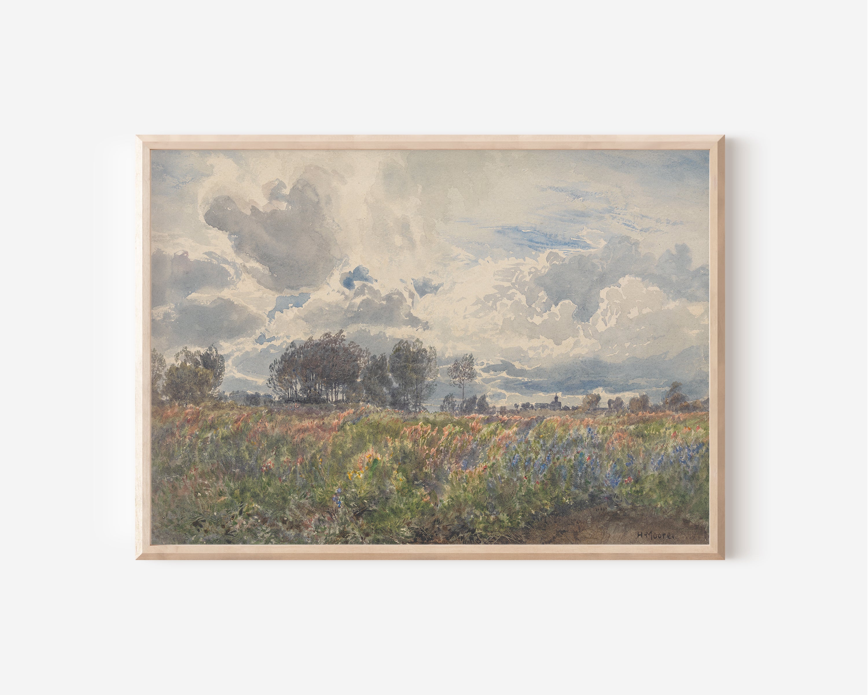 Blooming Fields