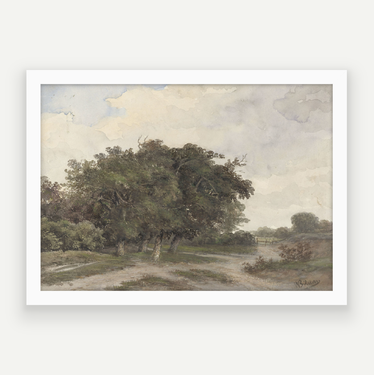 Country Drive