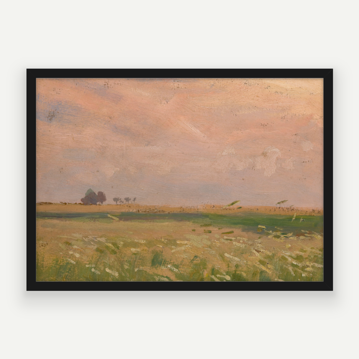 Candyfloss Fields