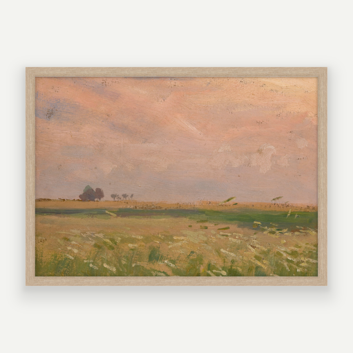 Candyfloss Fields