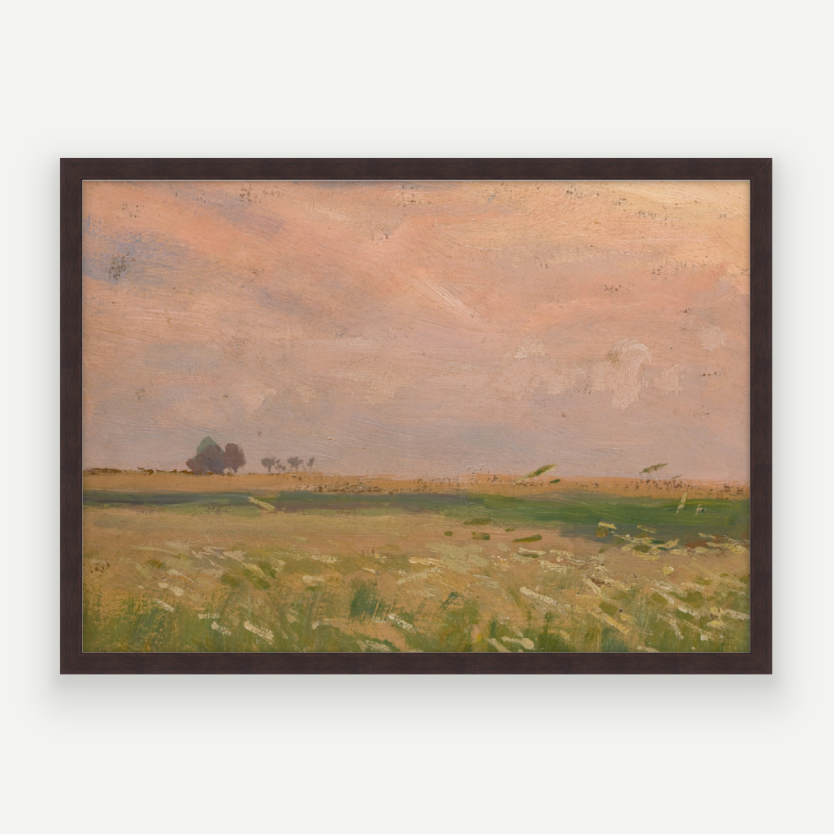 Candyfloss Fields