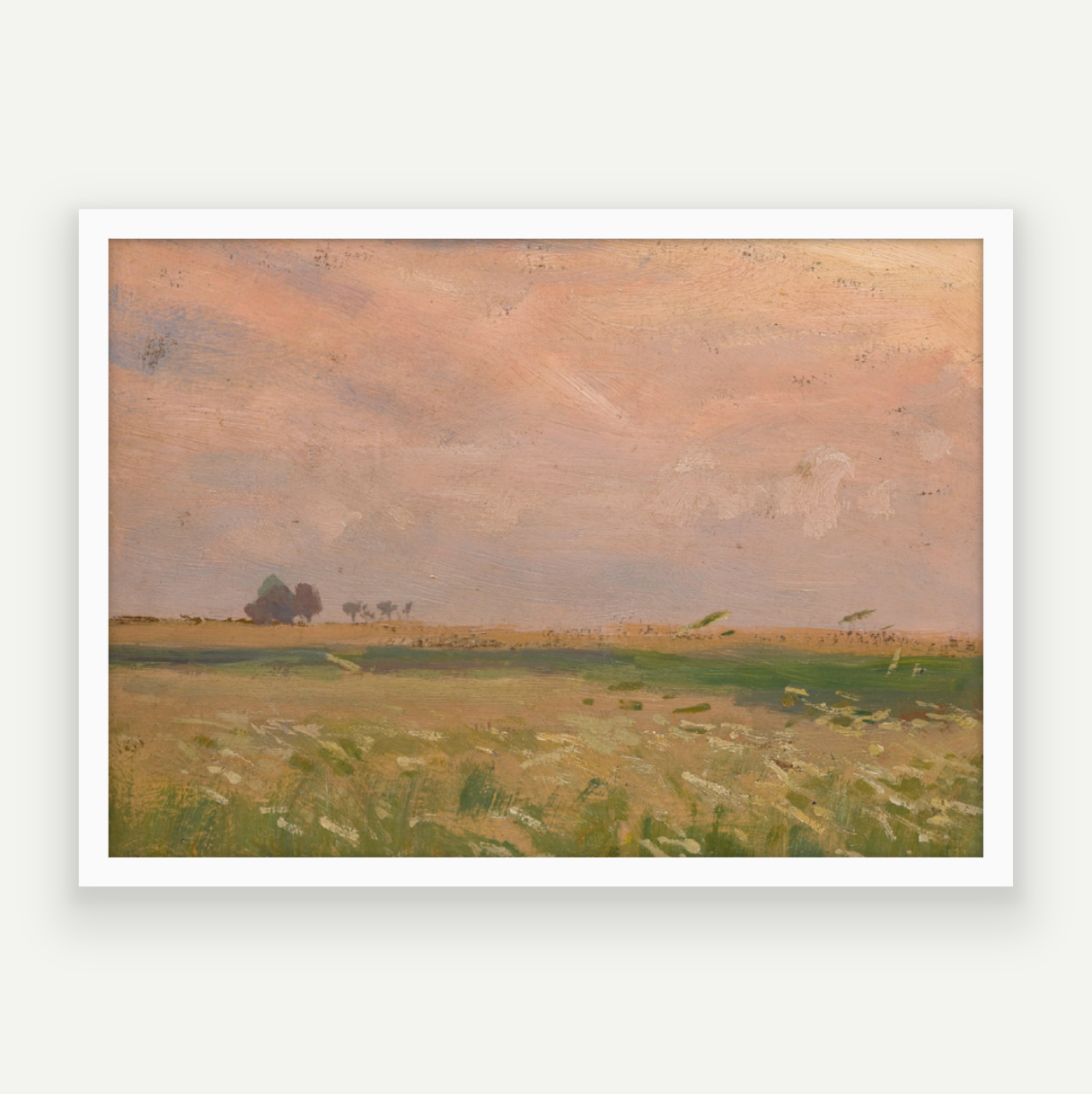 Candyfloss Fields