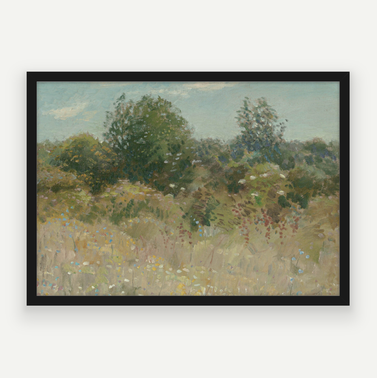 Colour Field