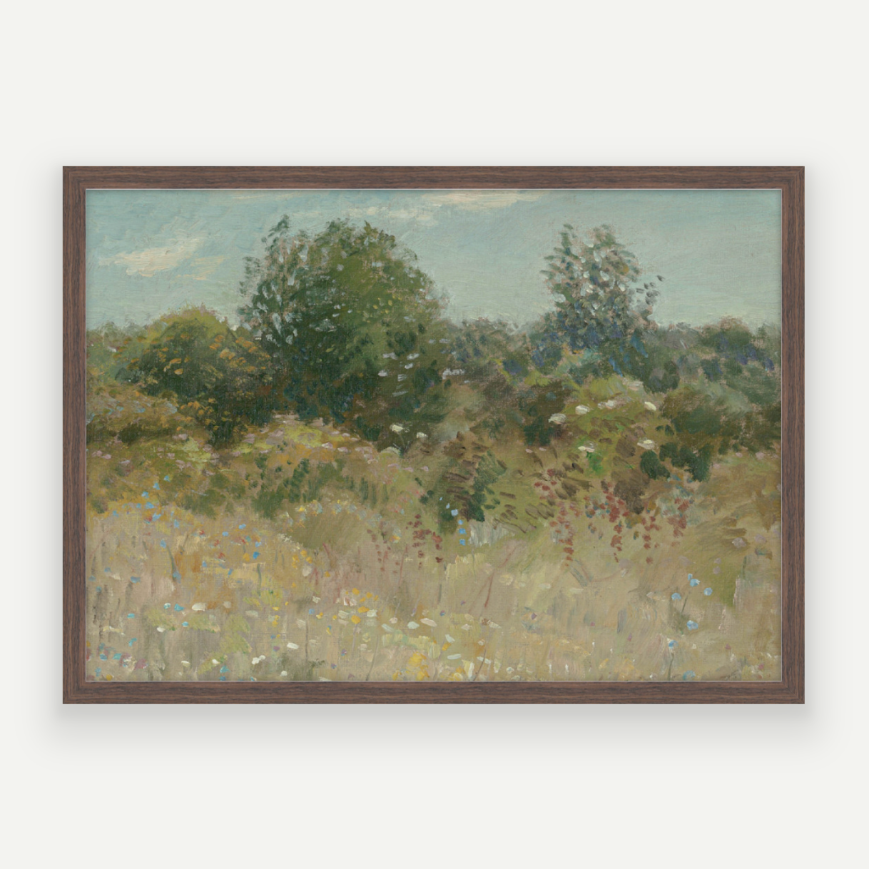 Colour Field