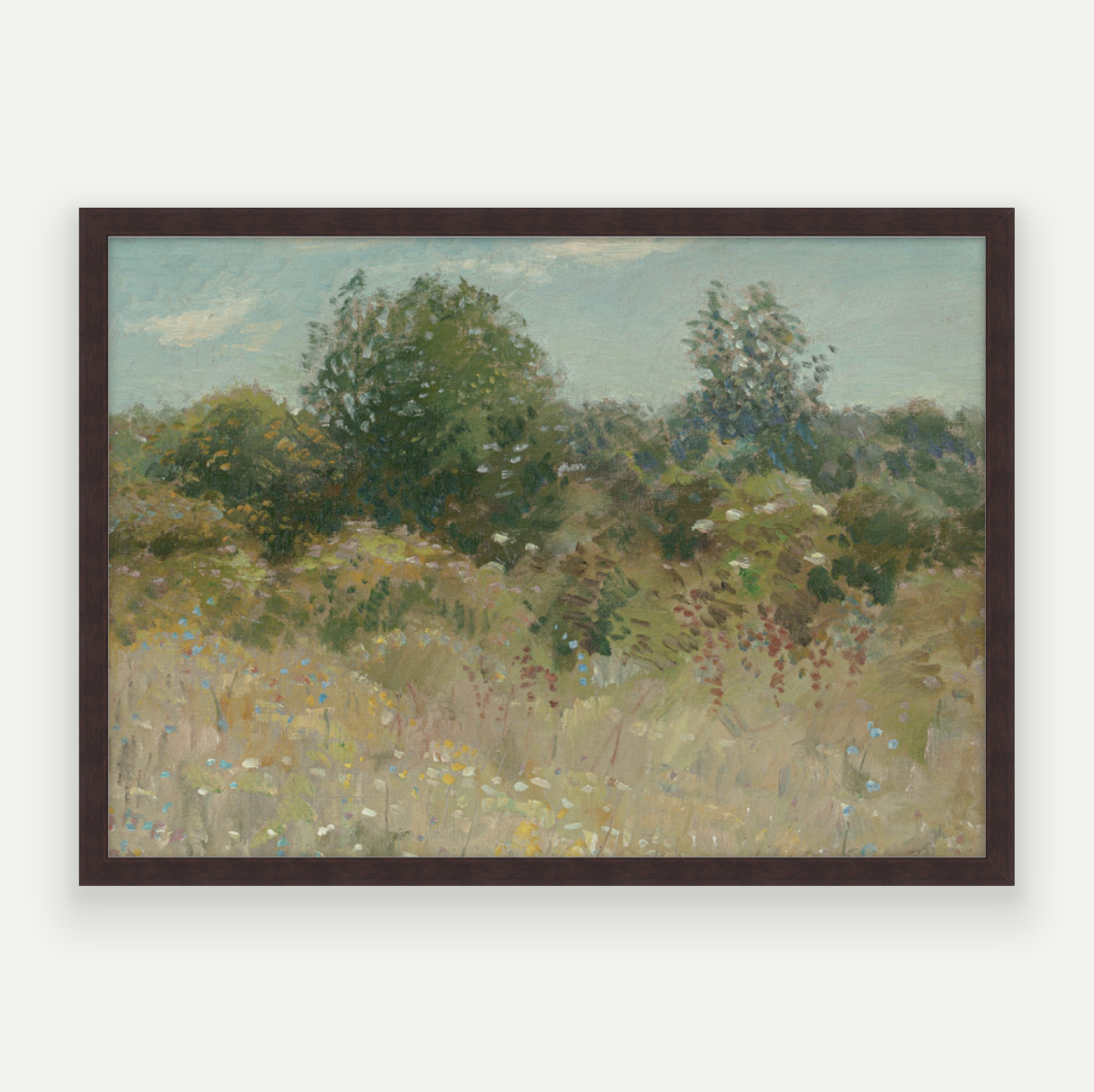 Colour Field