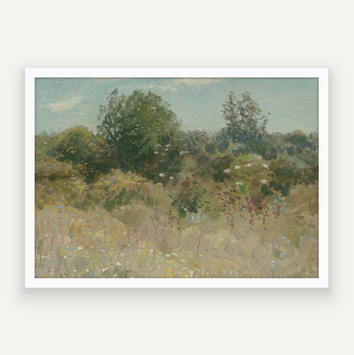 Colour Field