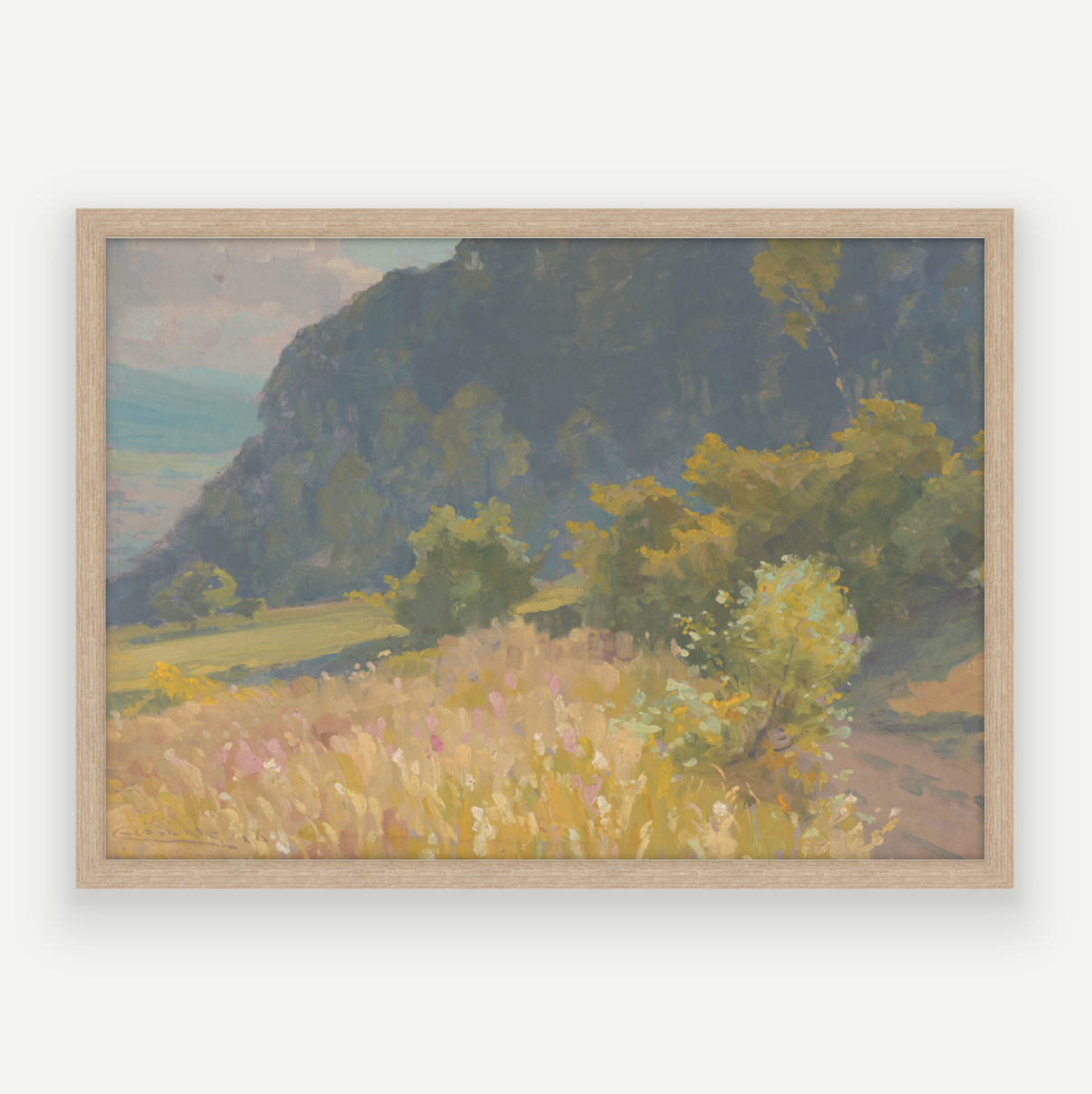 Colour Hills I