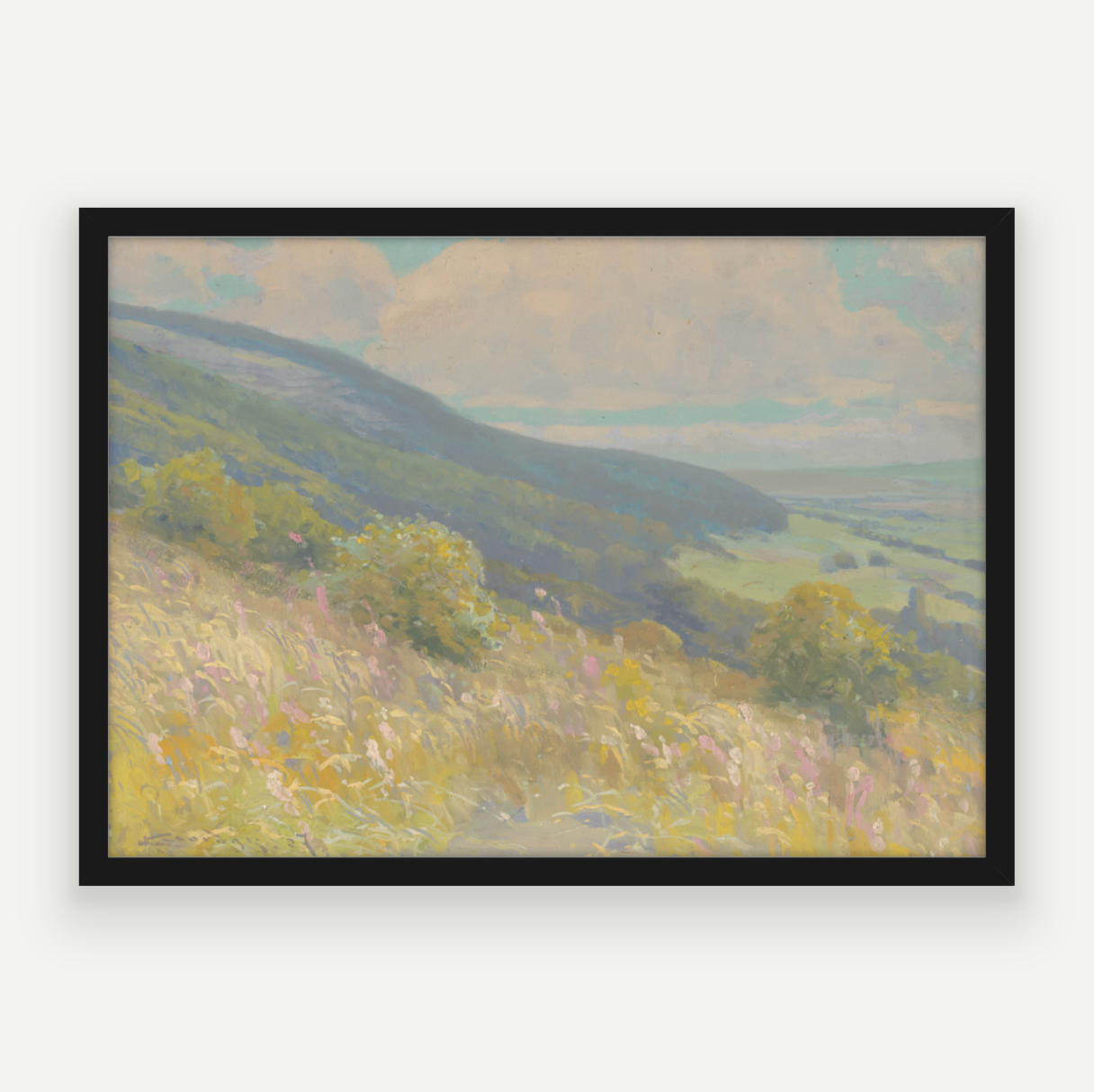 Colour Hills II