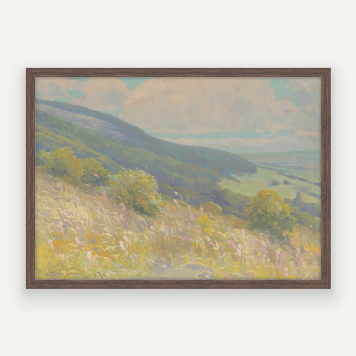 Colour Hills II
