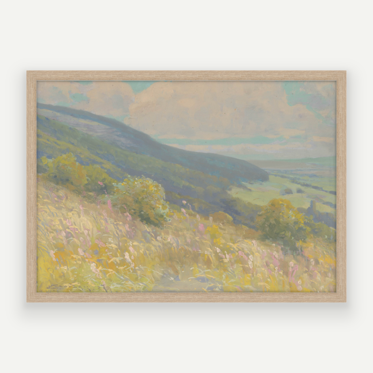 Colour Hills II