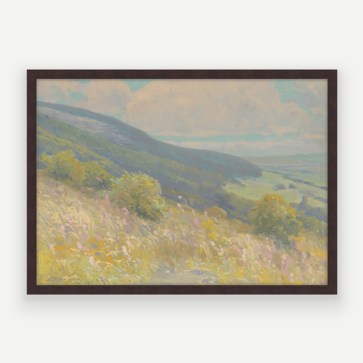 Colour Hills II