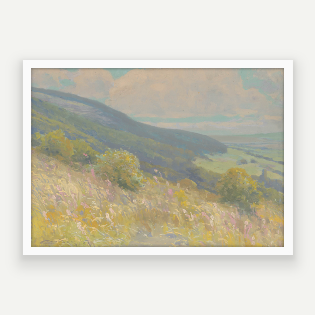 Colour Hills II