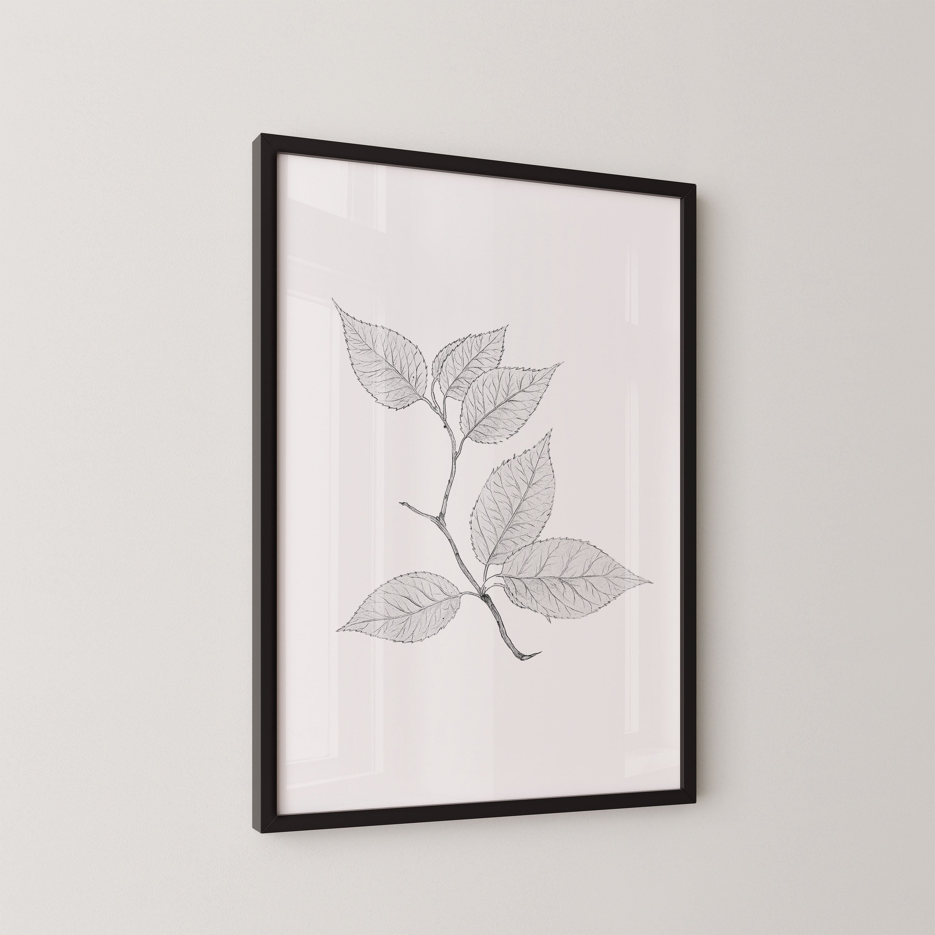 Cherry Leaves