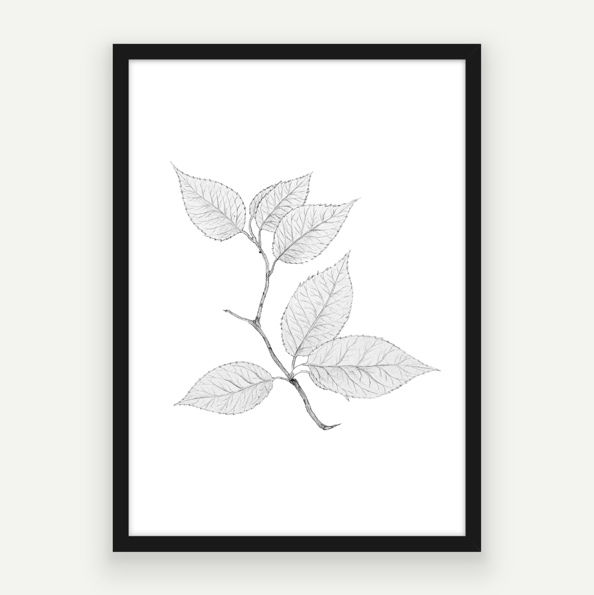 Cherry Leaves