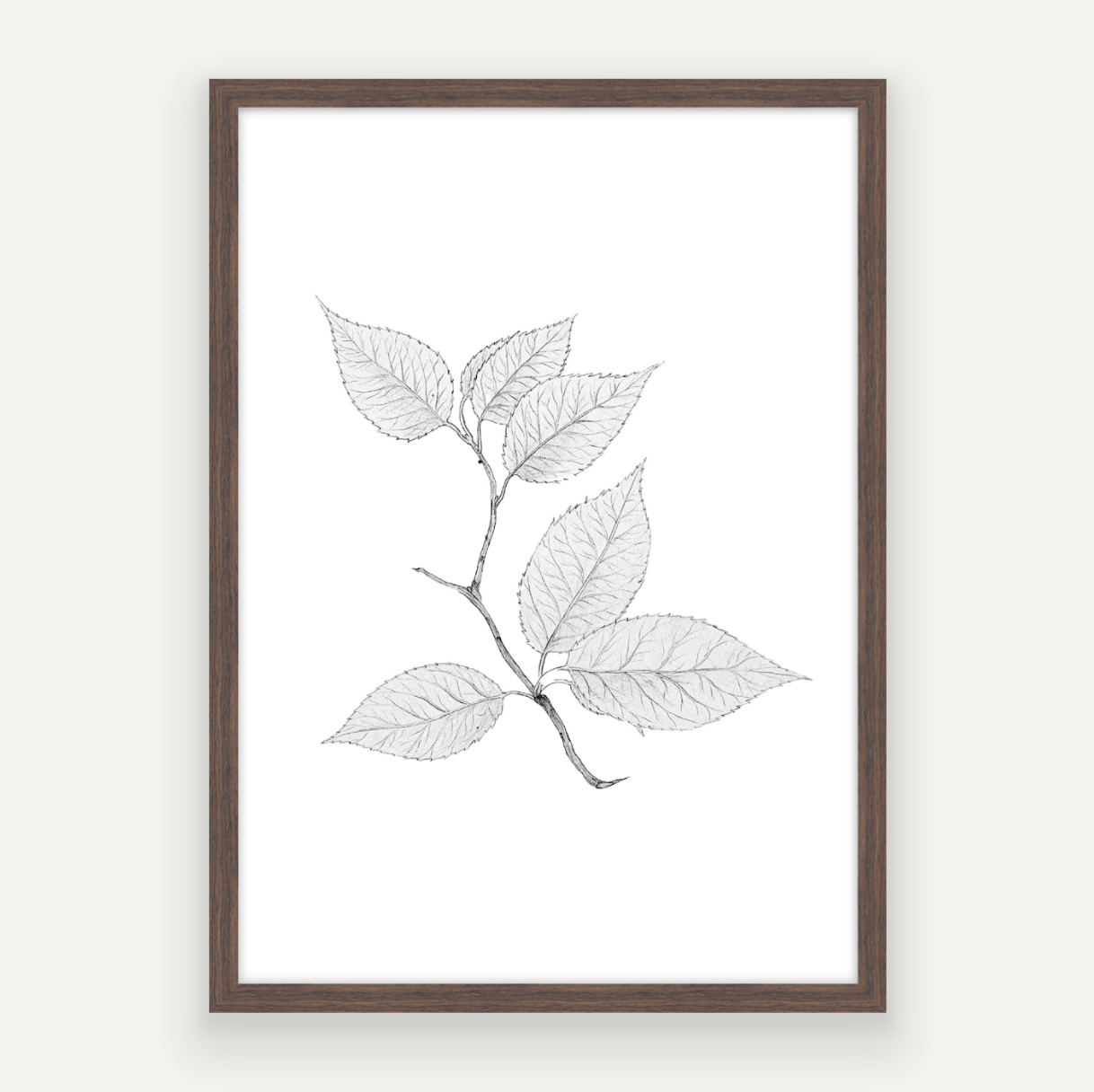 Cherry Leaves