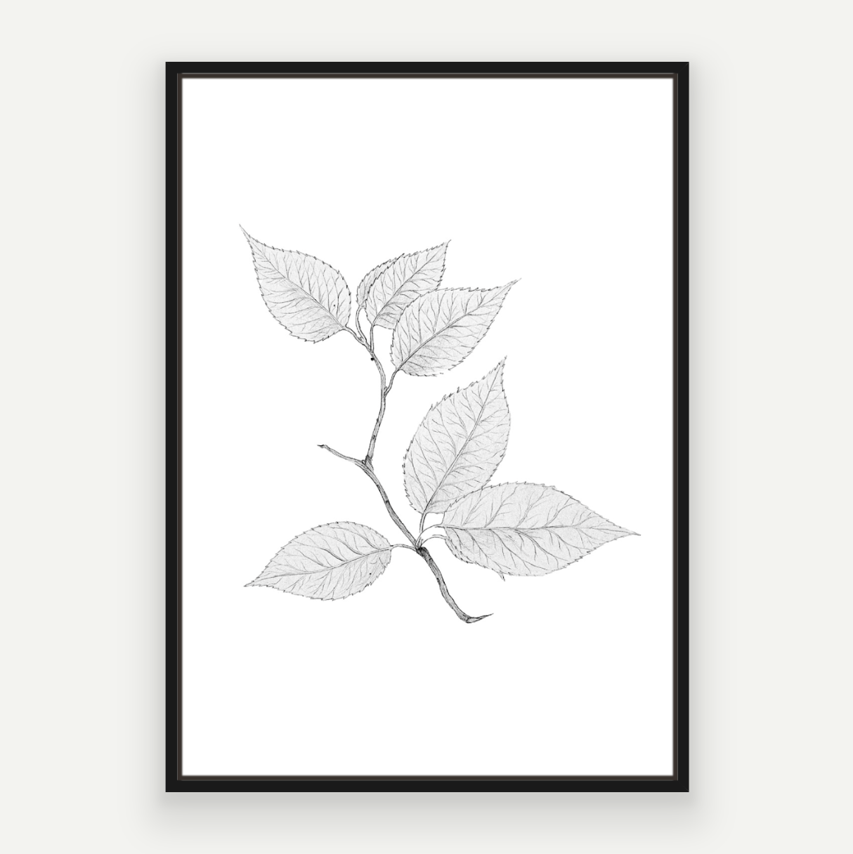 Cherry Leaves