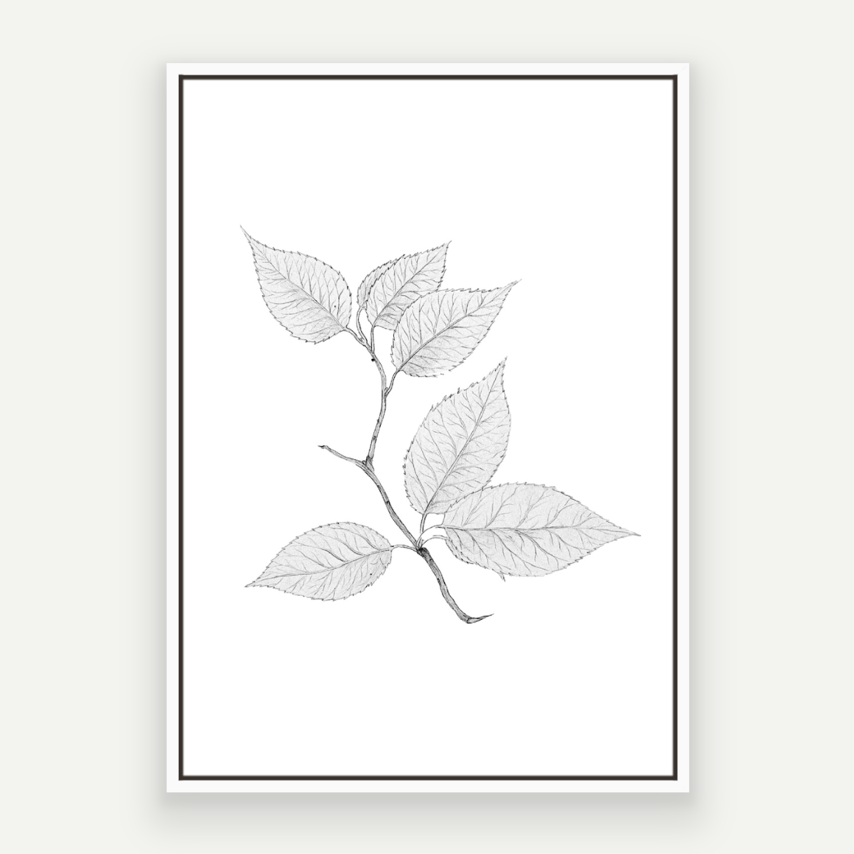 Cherry Leaves