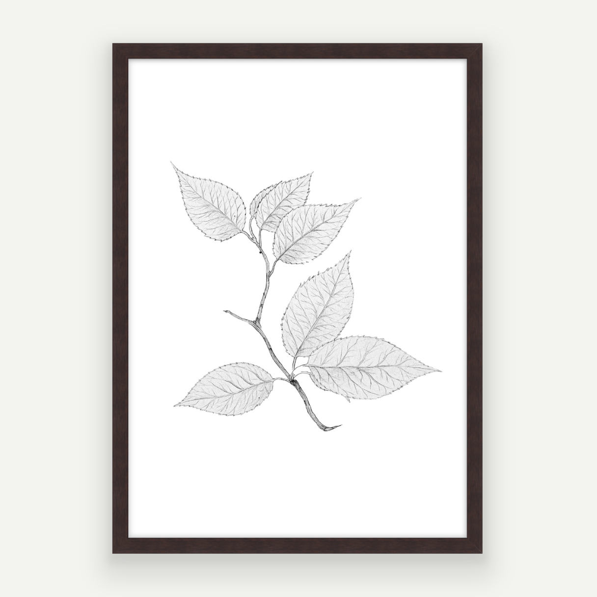 Cherry Leaves