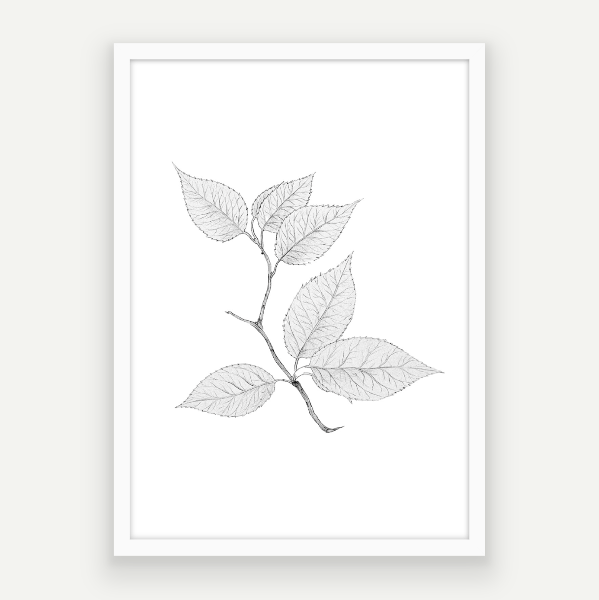 Cherry Leaves