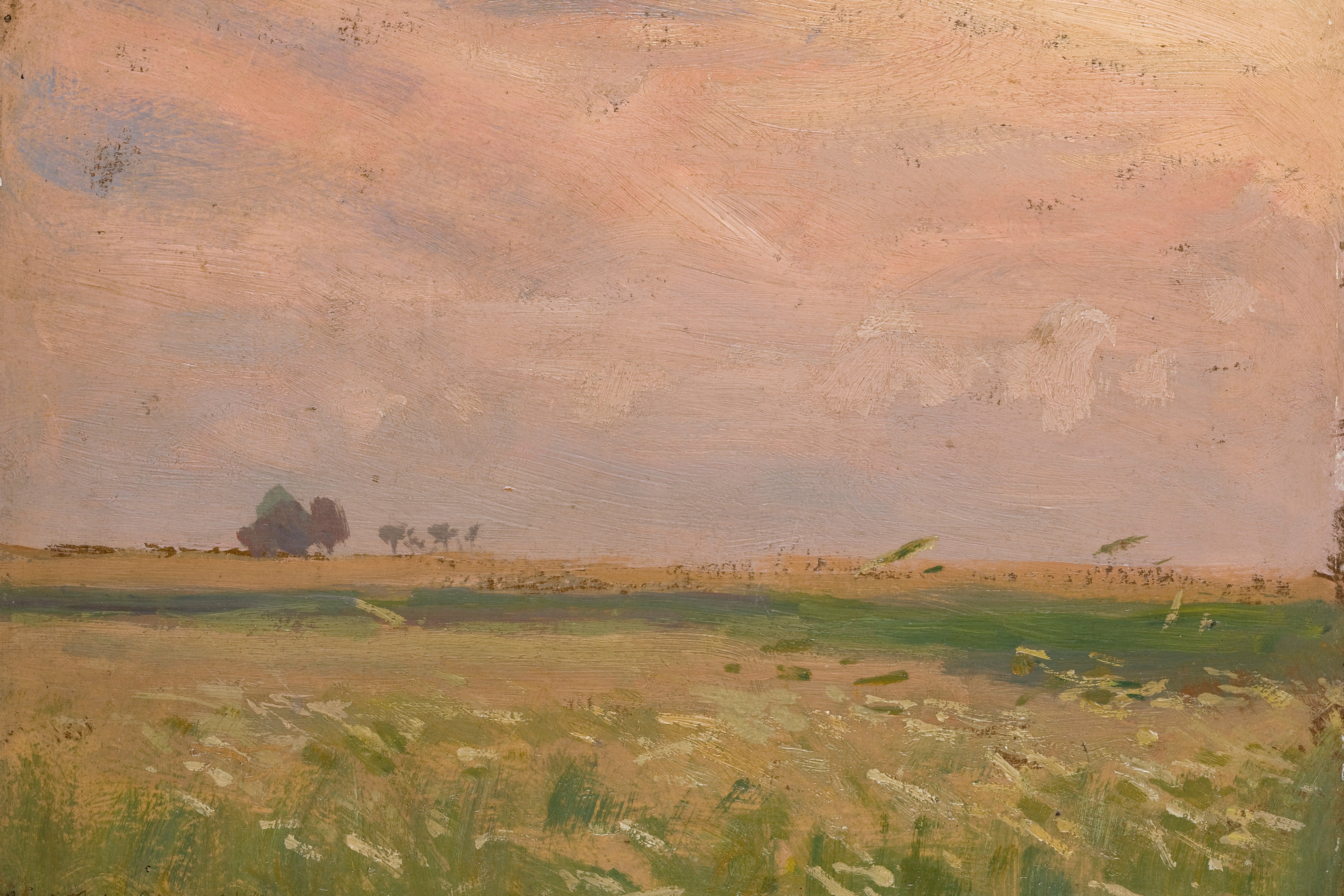 Candyfloss Fields