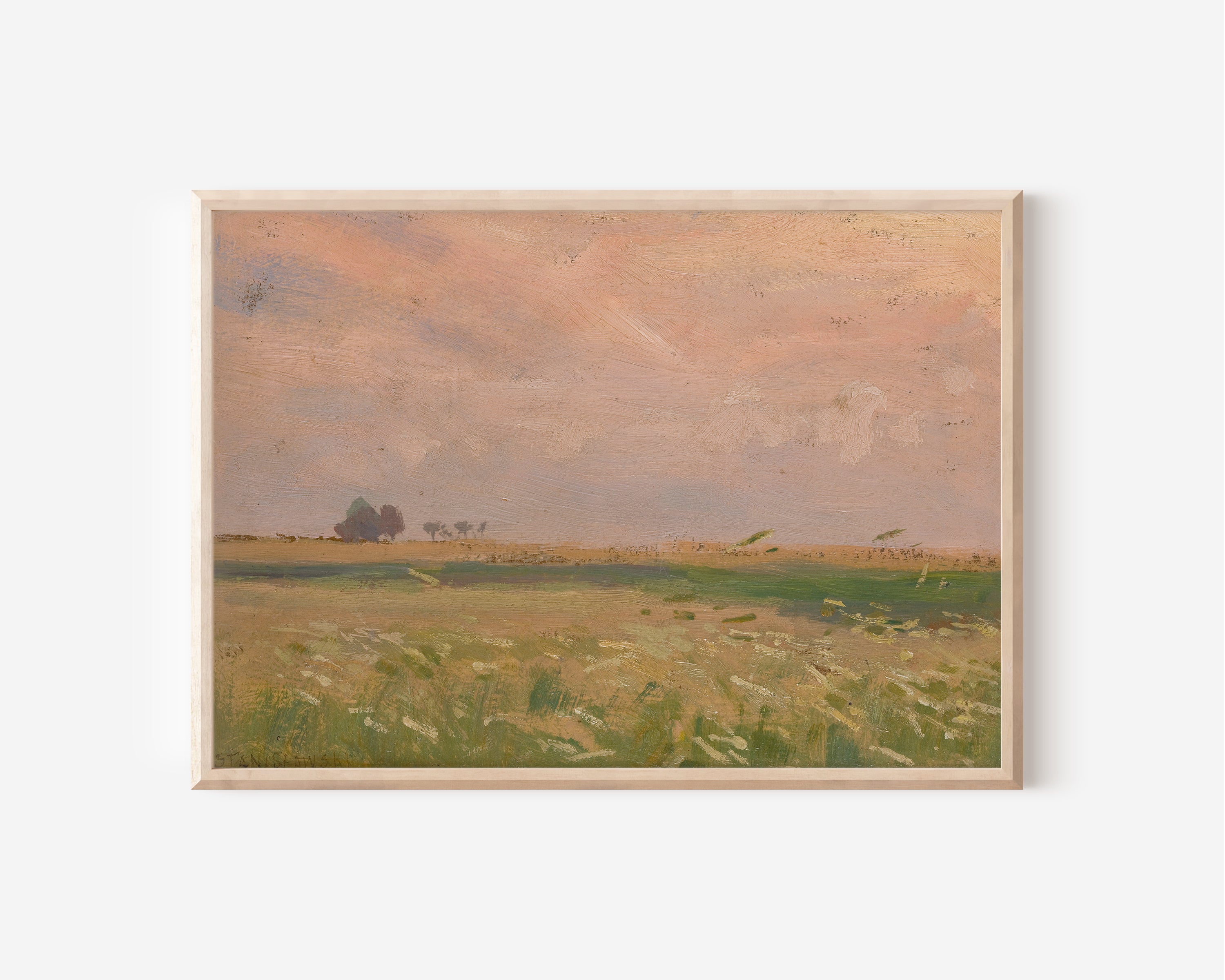 Candyfloss Fields