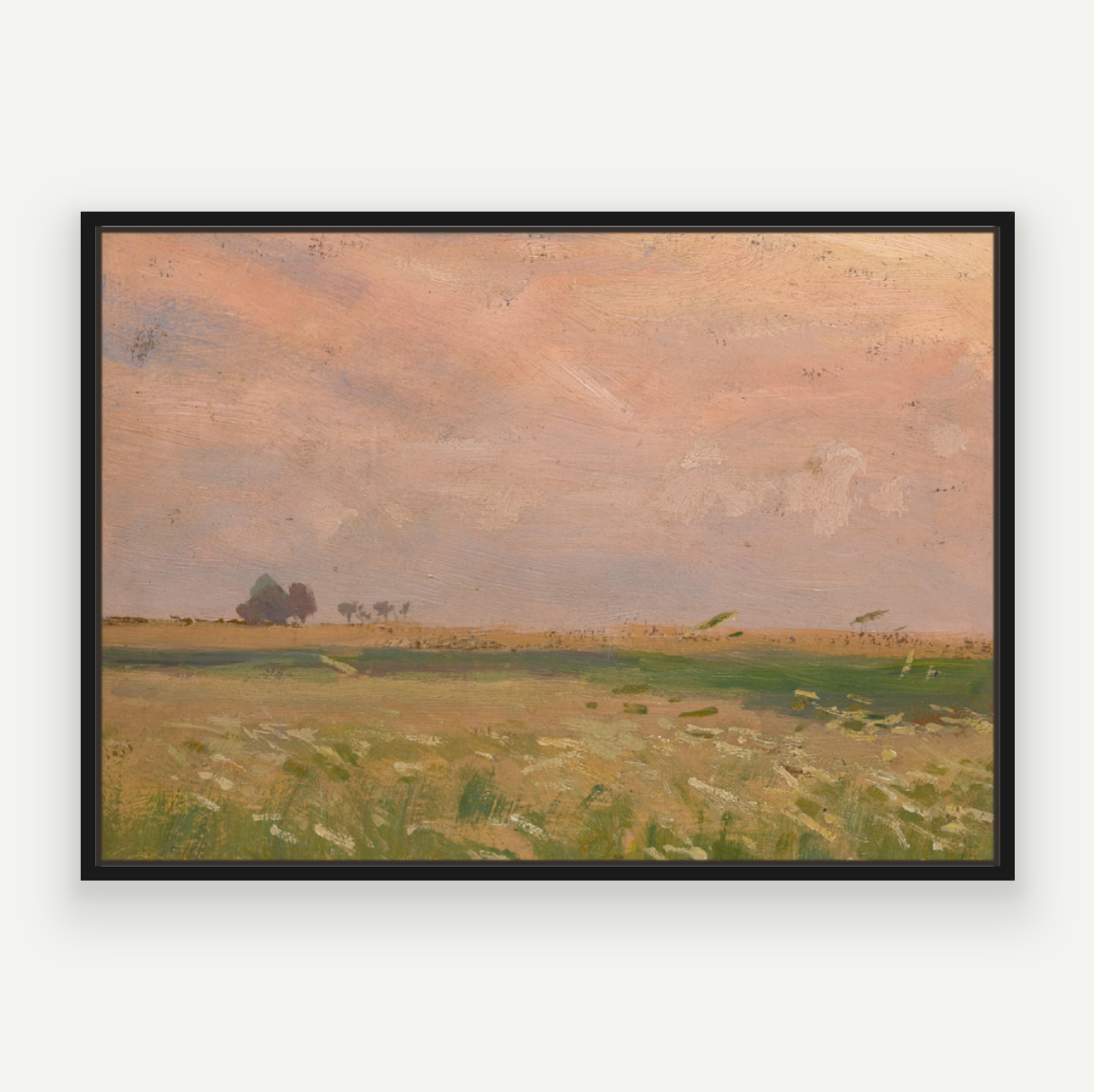 Candyfloss Fields
