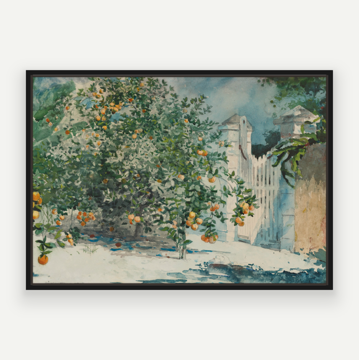 Orange Grove