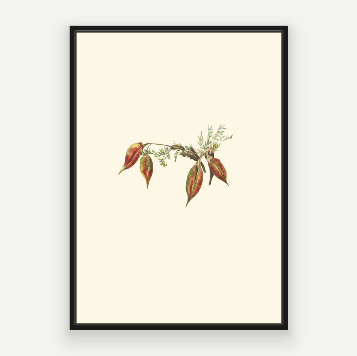 Autumn Buds