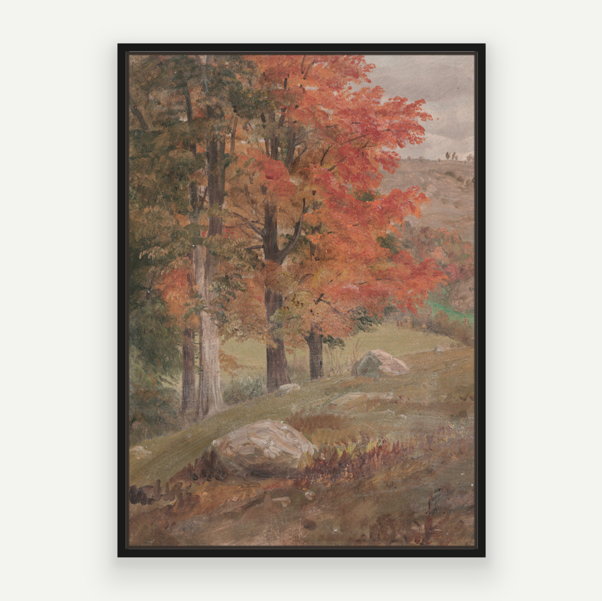 Fall View