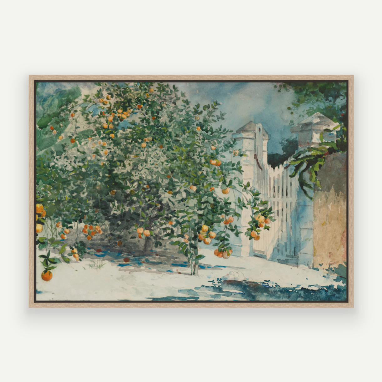 Orange Grove