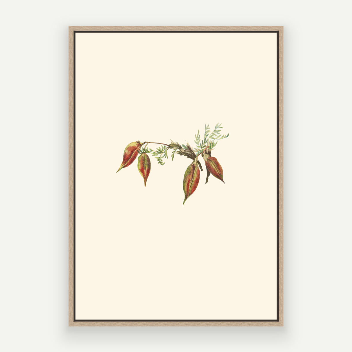 Autumn Buds